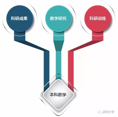 审核评估系列六 图解 苏大本科人才培养过程