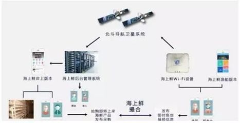 海鲜消费受益消费升级,品牌化运营成趋势(下)