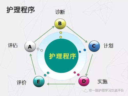 各类评估及执行单的填写规范与重要性