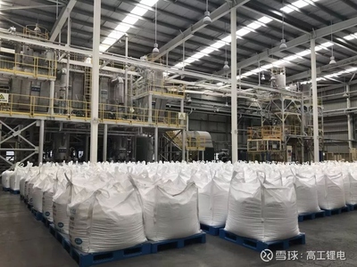 走进天齐张家港生产基地 波创电气实地评估智能制造新风貌