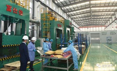 自然资源部领导赴淮调研 深化节约集约利用，评估成效促发展