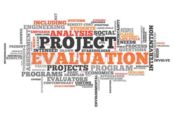 文字云项目评估 价值、方法与未来展望